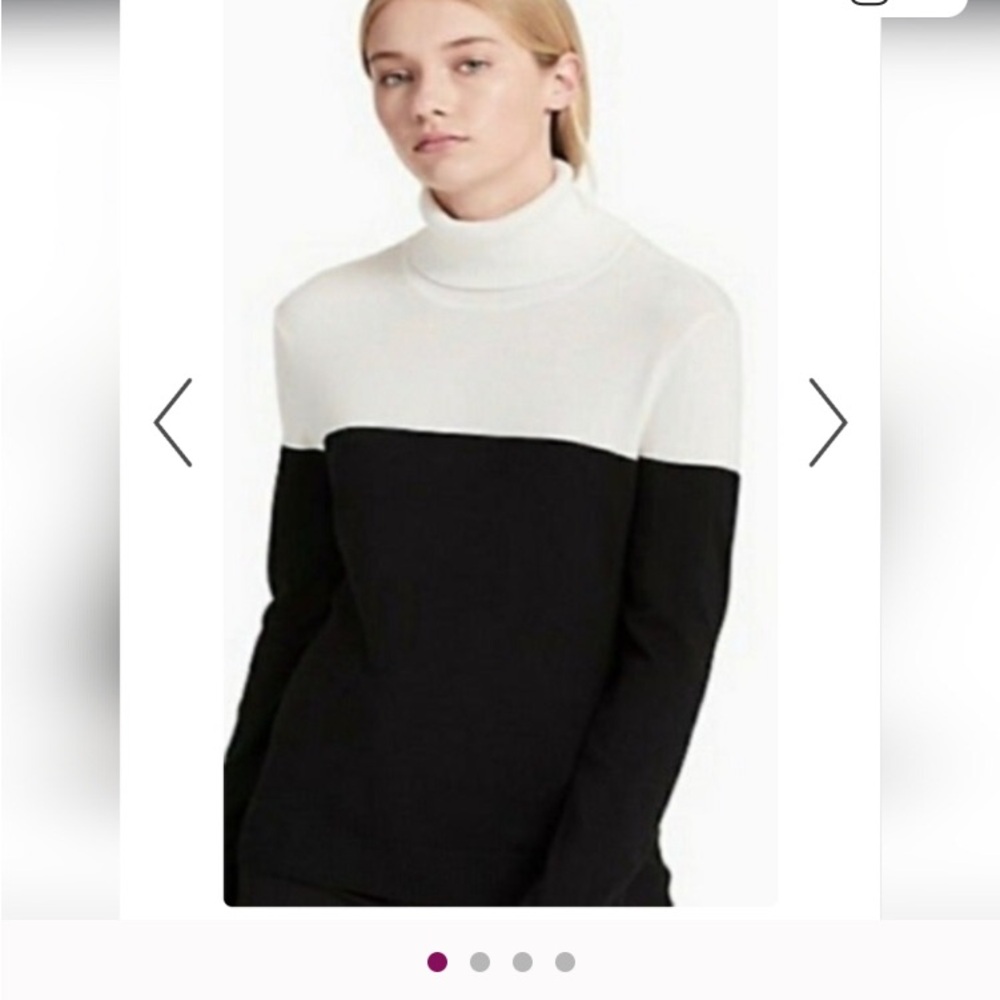 Calvin Klein COLORBLOCK Turtleneck Sweater
